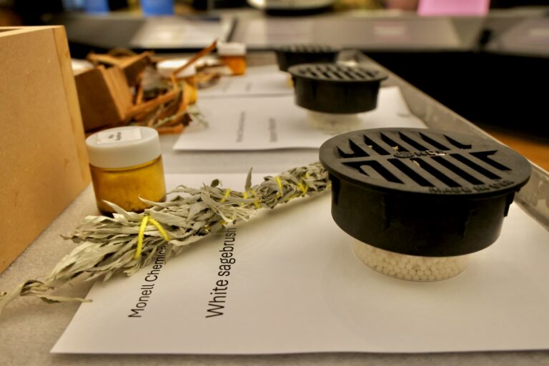 Specimens of herbs and plants are on display for visitors to smell.