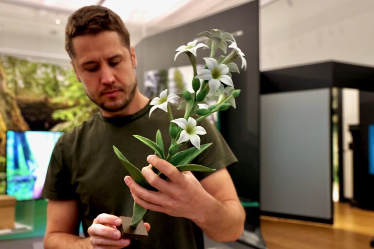 Tim Rusterholz is holding up and inspecting a 3-D printed plant