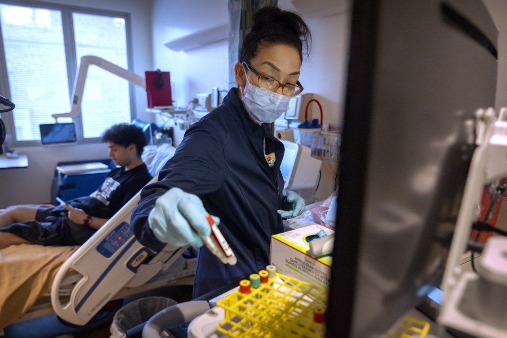 Clinical research nurse Monica Falcon prepares to draw blood from college student and research subject Sam Srisatta at the National Institutes of Health in Bethesda, Md., on Thursday, Oct. 31, 2024. (AP Photo/Mark Schiefelbein)