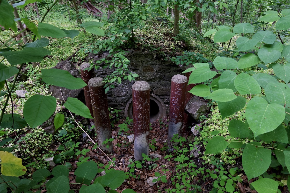 A drainage culvert protected by bollards at Wissahickon Valley Park