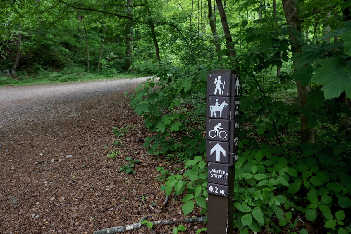 Friends of the Wissahickon are studying ways to mitigate storm runoff along Forbidden Drive and seven access trails in the park. (Emma Lee/WHYY)