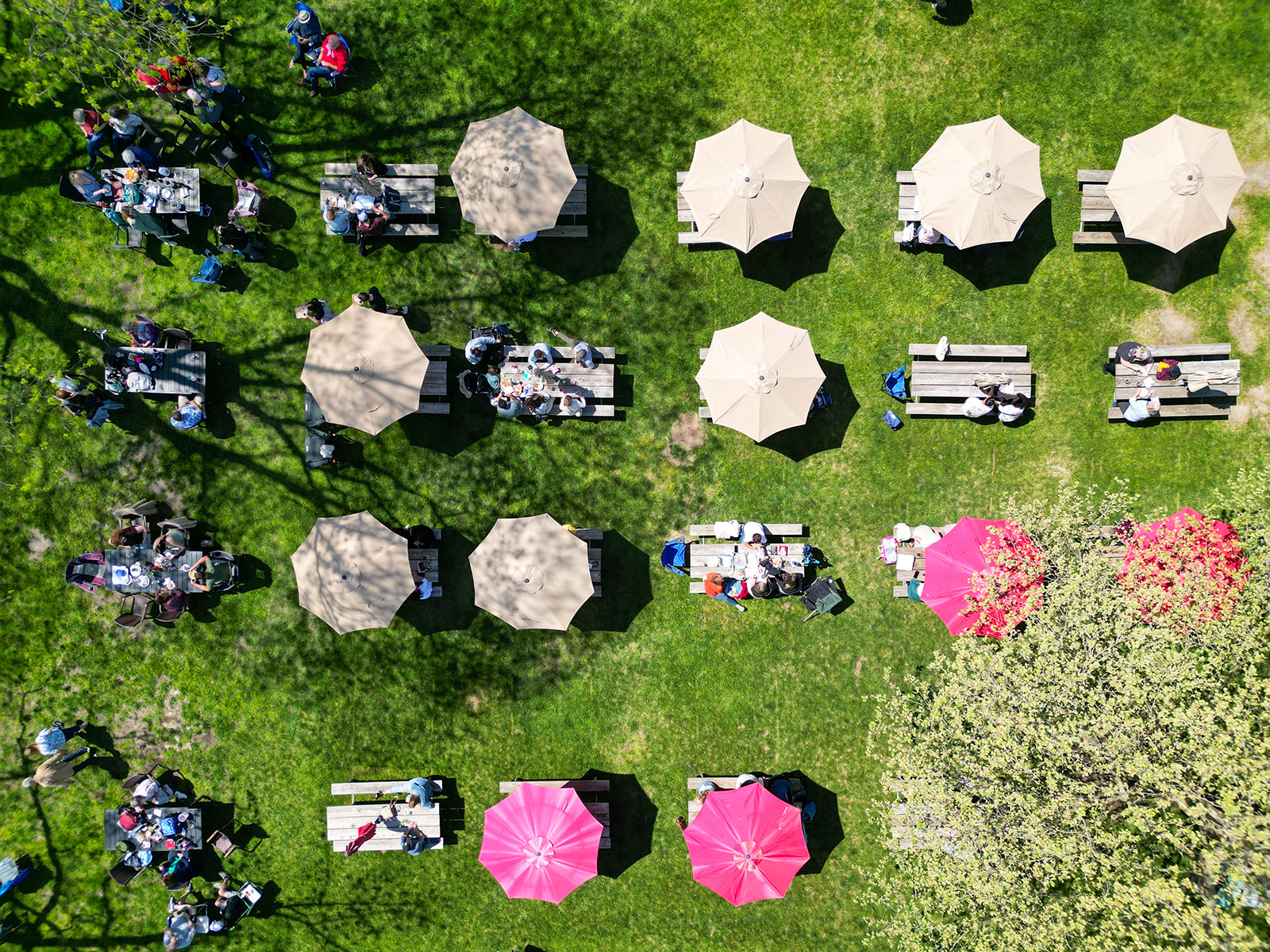An overhead photo of people sitting at round tables in a yard.