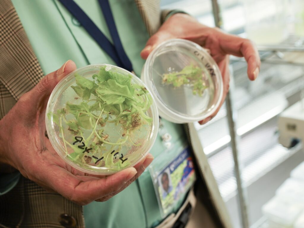 A scientist showing a vial with a hyacinth growing in it.