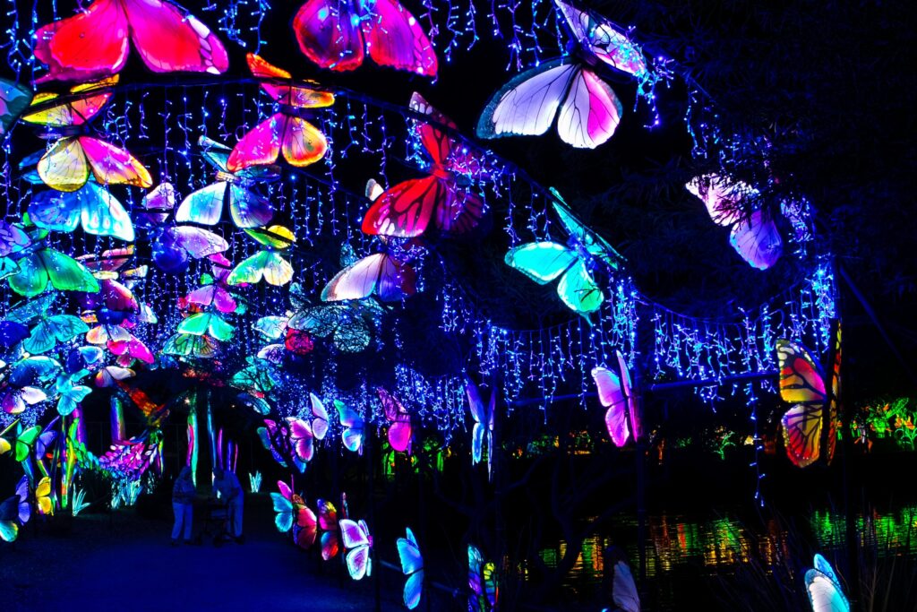 Butterfly-Corridor15-scaled The Philly Chinese Lantern Festival