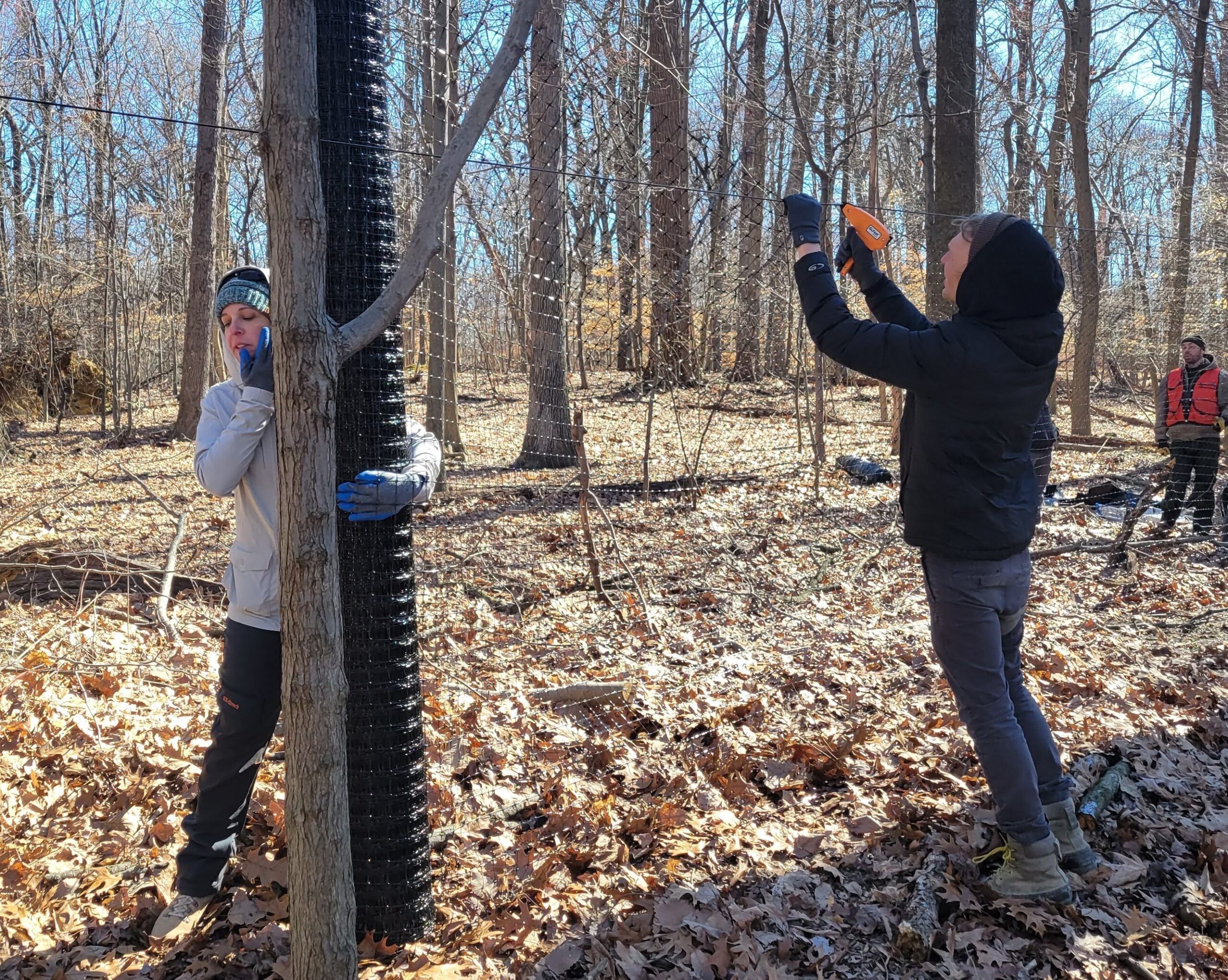 two people unwrapping a plastic fence