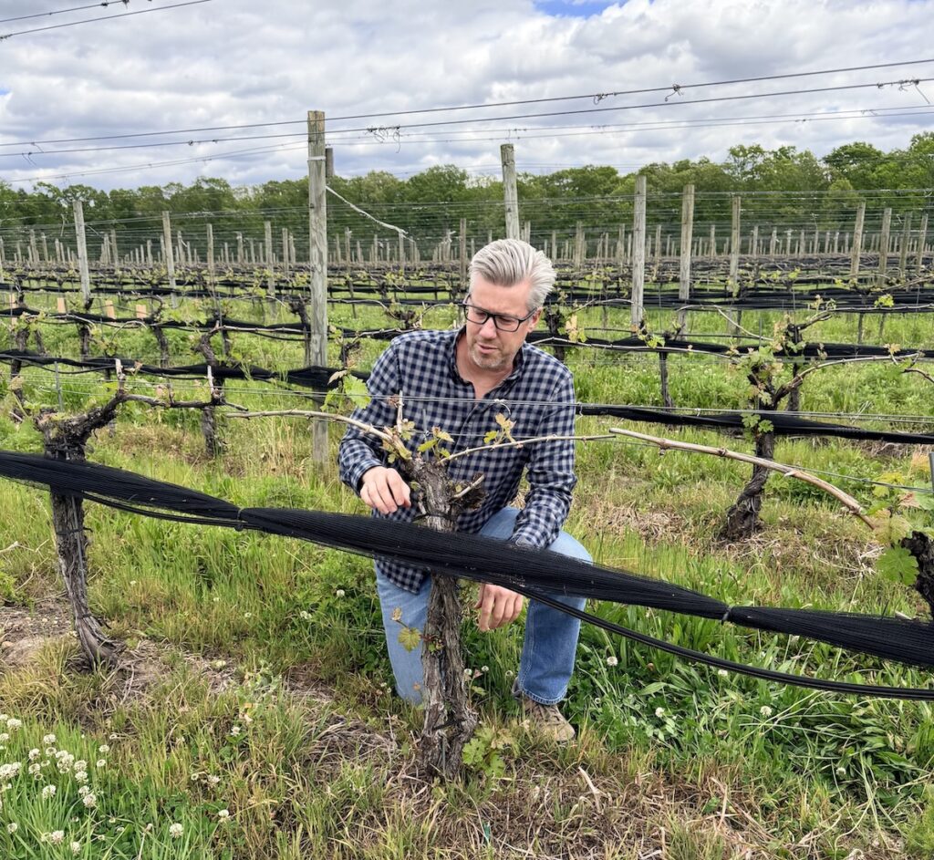Larry Sharrott kneeling down and look closely at his crops in a field.