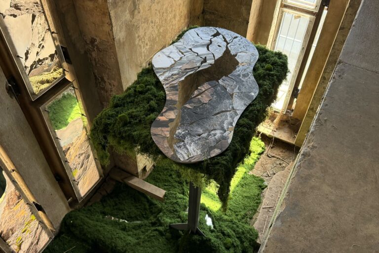 a foresty installation by Julianna Foster