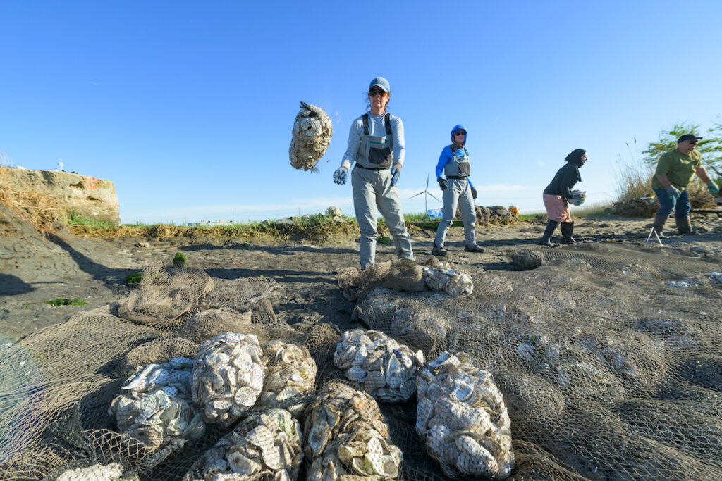 University of Delaware researchers and students walk along the shoreline in Lewes, Delaware