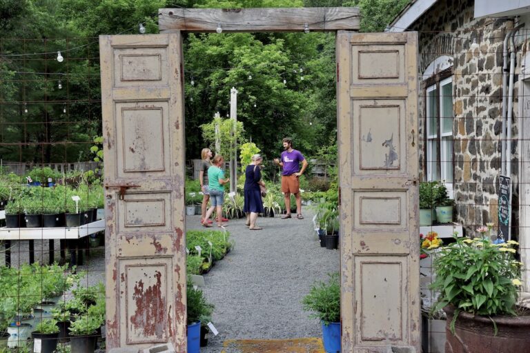 Members of the Hopewell New Jersey Native Plant Swap group at the My Backyard at Nectars garden center