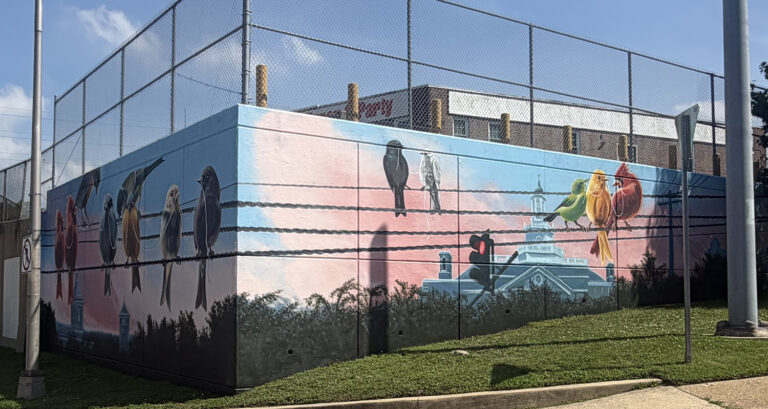 Birds on a wire highlight Wilmington's unconventional mural for America's 250th birthday. (Cris Barrish/WHYY)