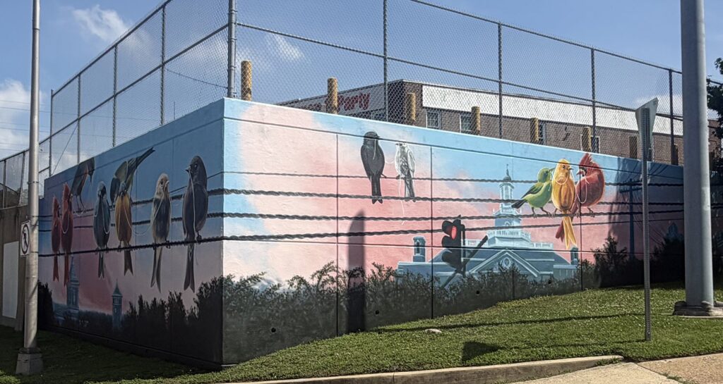 main-maybe-crop-copy-pe Unas aves sobre un cable destacan el mural poco convencional