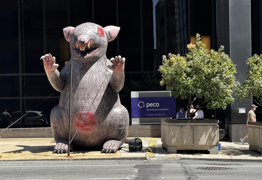A large inflatable rat outside of PECO headquarters.