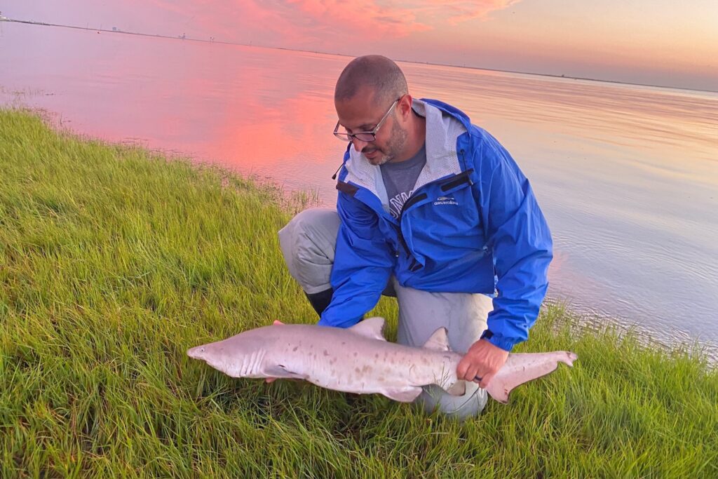 sand-tiger-shark-monmouth-university Keith Dunton holds a sand tiger shark