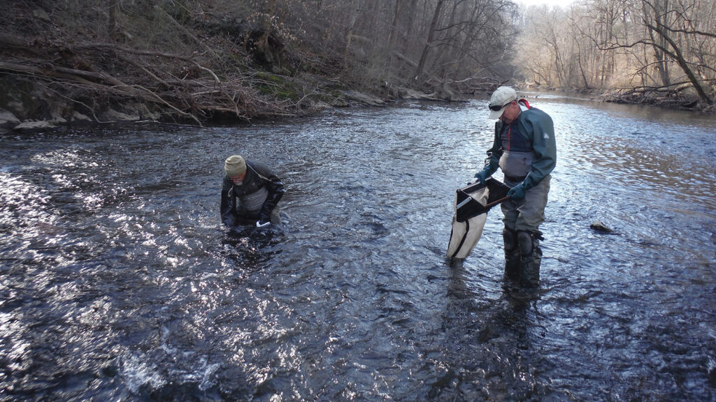 Stroud-water-Research-Center-insect-microplastics Scientists hold nets filled with insect samples as they wade through water in a creek