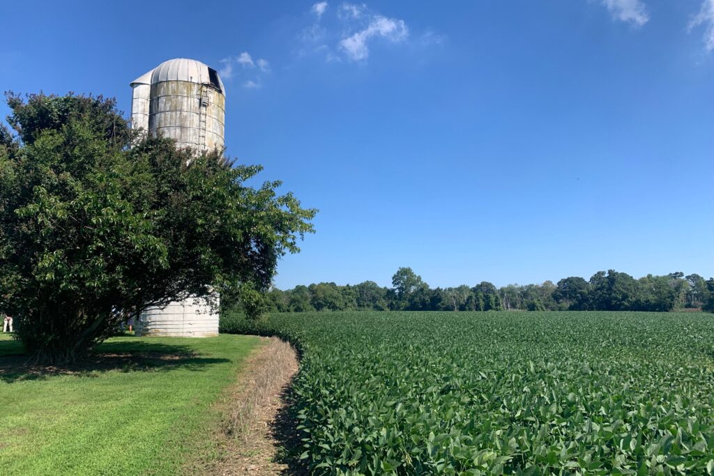 ard-na-greine-farm-lewes-delaware-2026-sg-4 a silo on the Ard Na Gréine farm