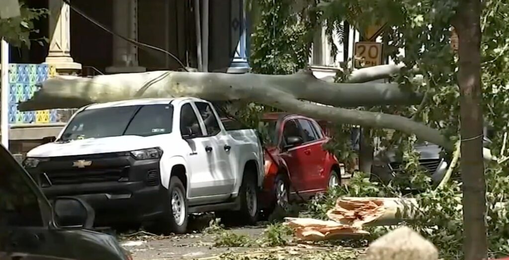 storm-6ABC-West Philadelphia-2026 a fallen tree on two cars