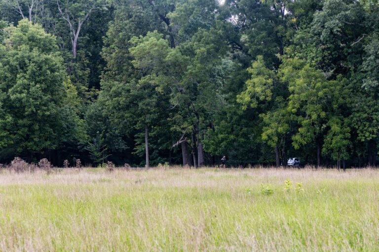 A jogger runs in Tyler State Park
