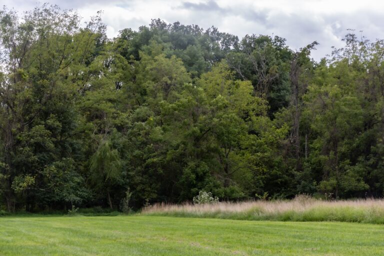 Tyler State Park