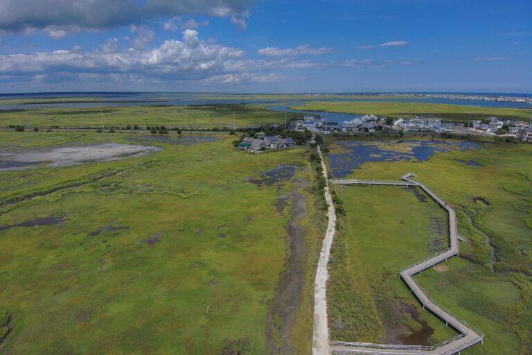 Wetlands Institute and education trail in New Jersey
