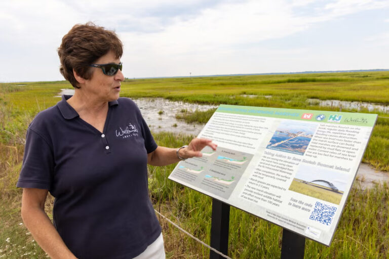 Lenore Tedesco discussing details of wetland preservation
