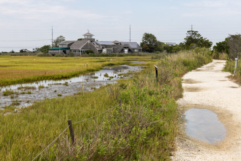 Wetlands Institute and education trail in New Jersey