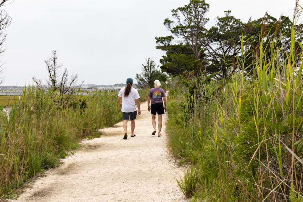 Visitors walking trail to the Wetlands Institute in New Jersey