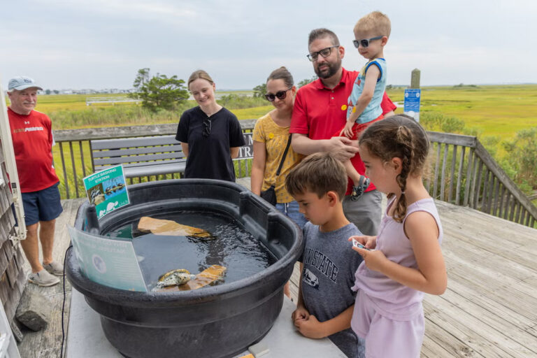 Visitors meet Lovey at the Wetlands Institute in New Jersey