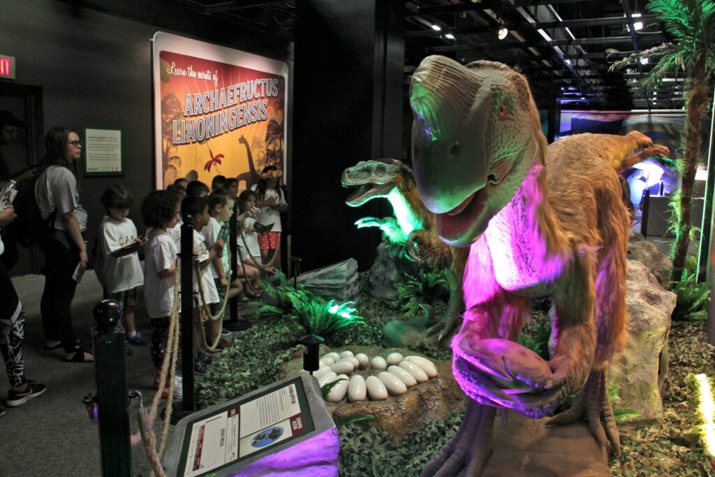 2019-06-28-e-lee-philadelphia-academy-of-natural-sciences-animatronic-dinosaur-exhibit-5-2026 A group of kids looks at the life size models of dinosaurs at the museum.
