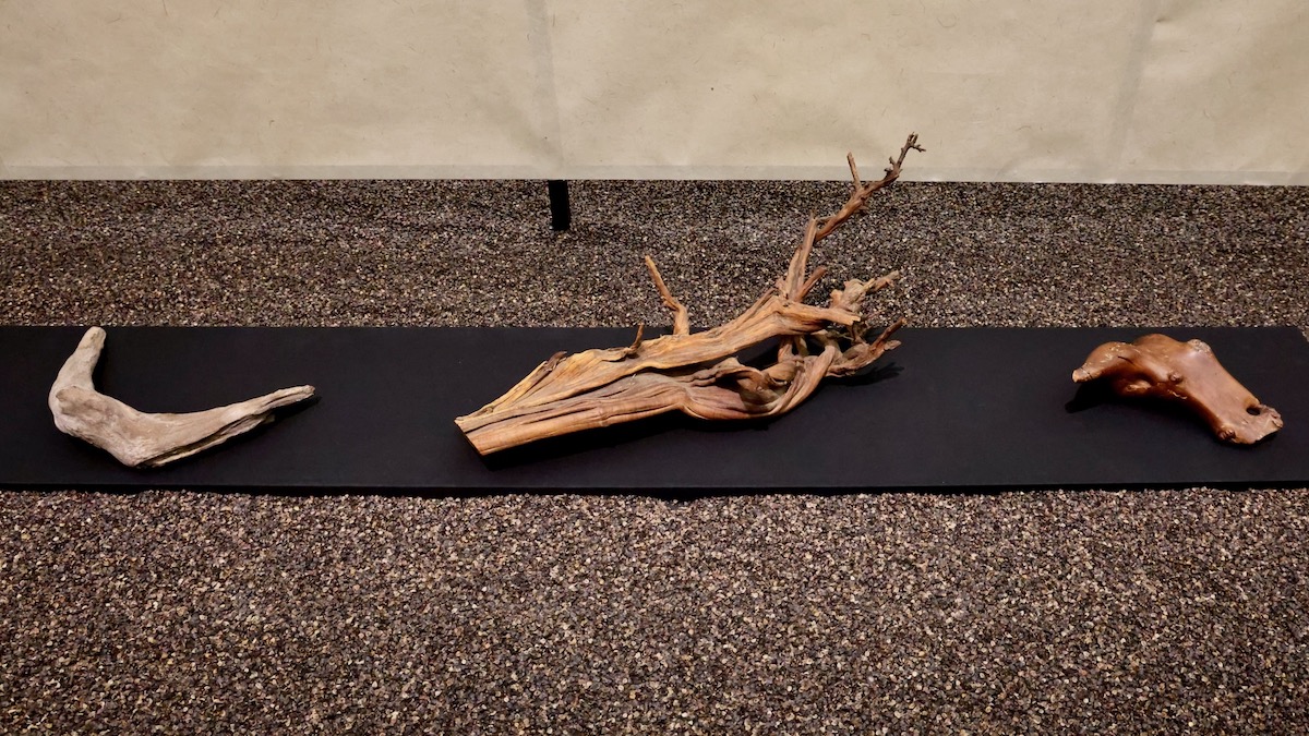 Pieces of wood on display at art show