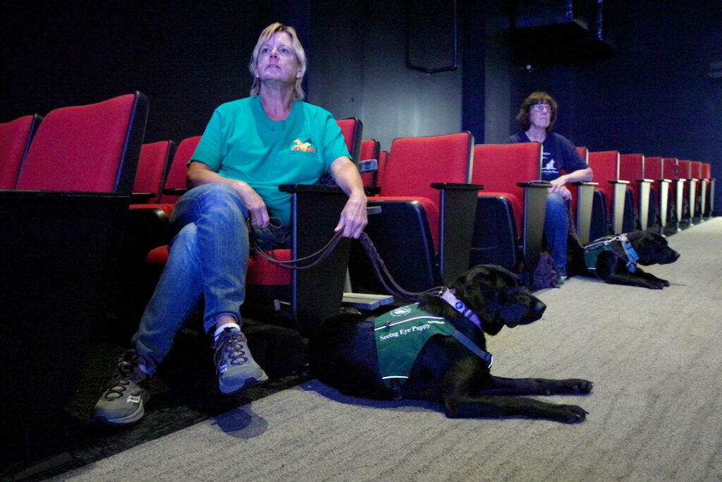 two people with two Seeing Eye dogs in a theater