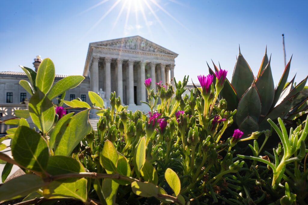 Trump Supreme Court Wins and Losses The Supreme Court is seen on Capitol Hill