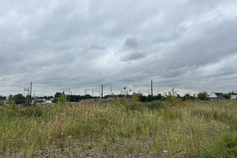 a vacant site of grass and weeds