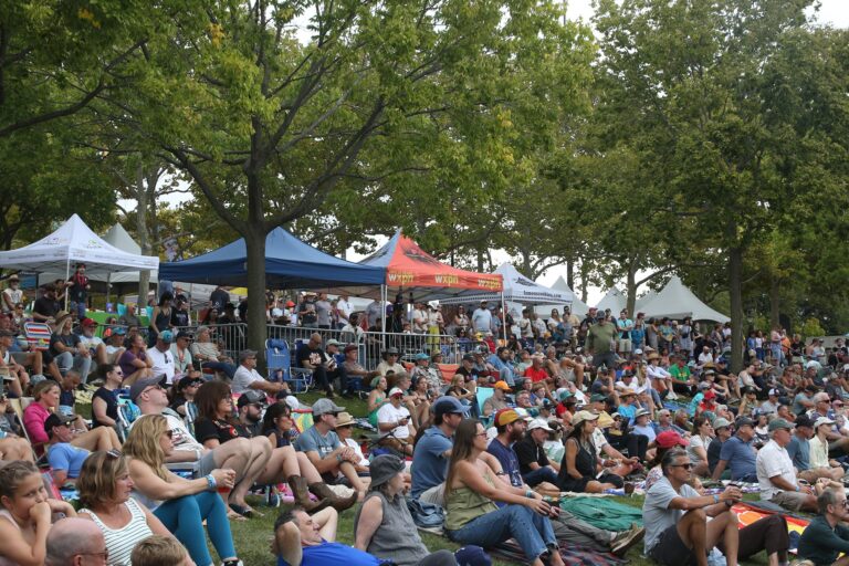 Music festival attendees on the lawn