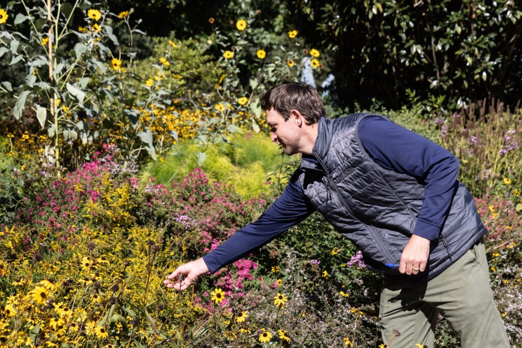 Sam Hoadley points out some blooming goldenrod