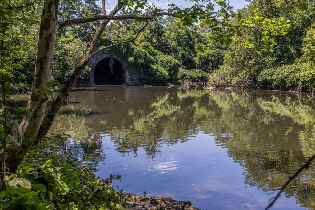 The Tacony Creek in Northeast Philadelphia. (Kimberly Paynter/WHYY) The Tacony Creek