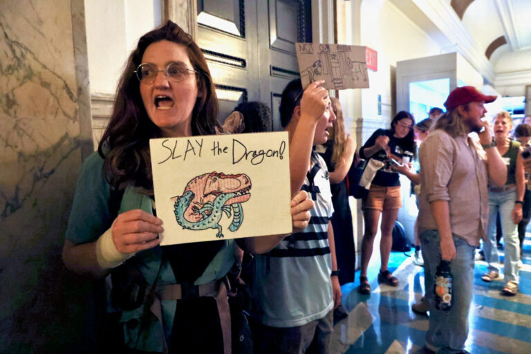 a protester holds a sign reading SLAY the Dragon!