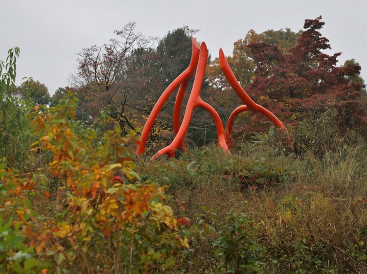'Steelroot, 2011' sculpture by Steve Tobin on display at Tyler Arboretum