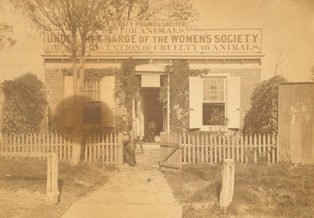 Shelter-on-Lamb-Tavern-Rd-circa-1897-scaled-e1791927727827 The shelter on Lamb Tavern Road circa 1897
