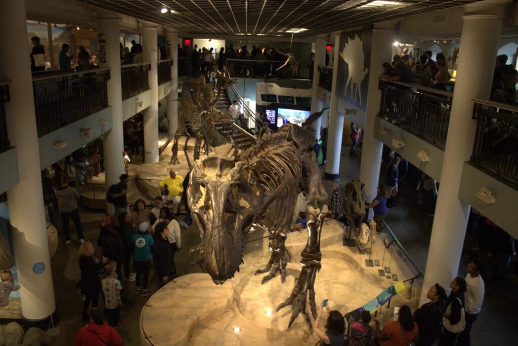 academy-of-natural-sciences-file Inside the Academy of Natural Sciences
