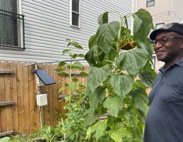 An air quality monitor stands among flowers and vegetables in a garden with Greg Jenkins