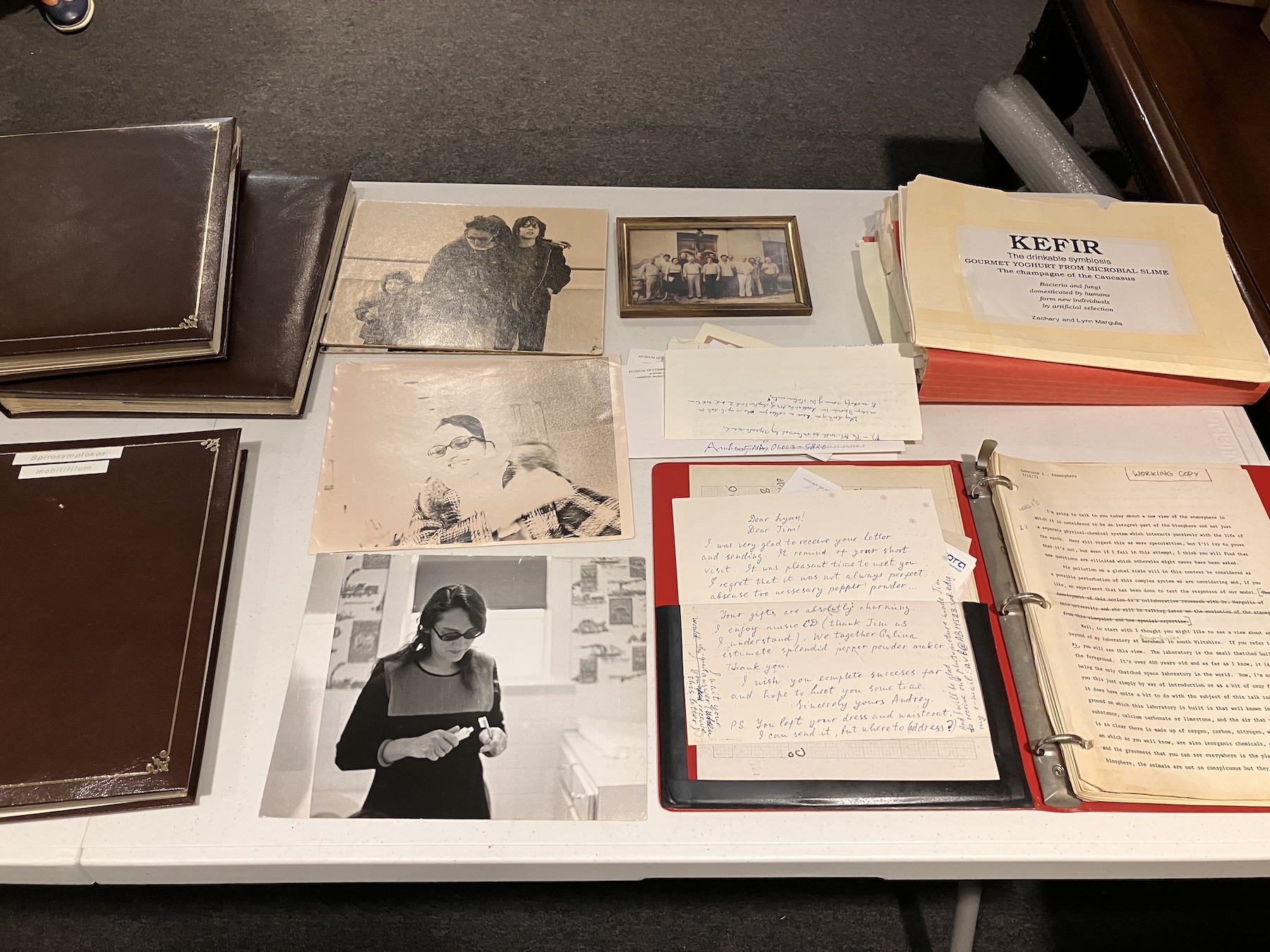 A collection of biologist Lynn Margulis' papers