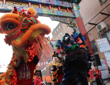 Members of Cheung’s Hung Gar Kung Fu martial arts school wear a Chinese dragon outfit