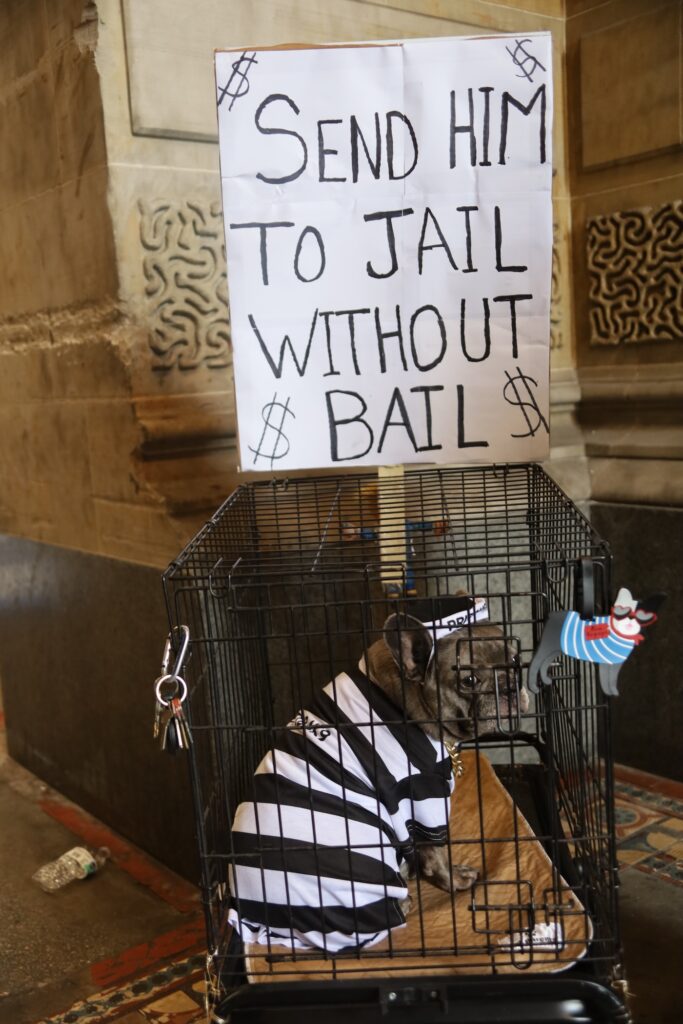 A dog is in a cage dressed in a prison costume.