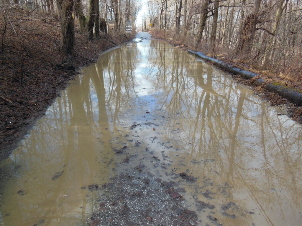 Flooding on Port Royal Avenue