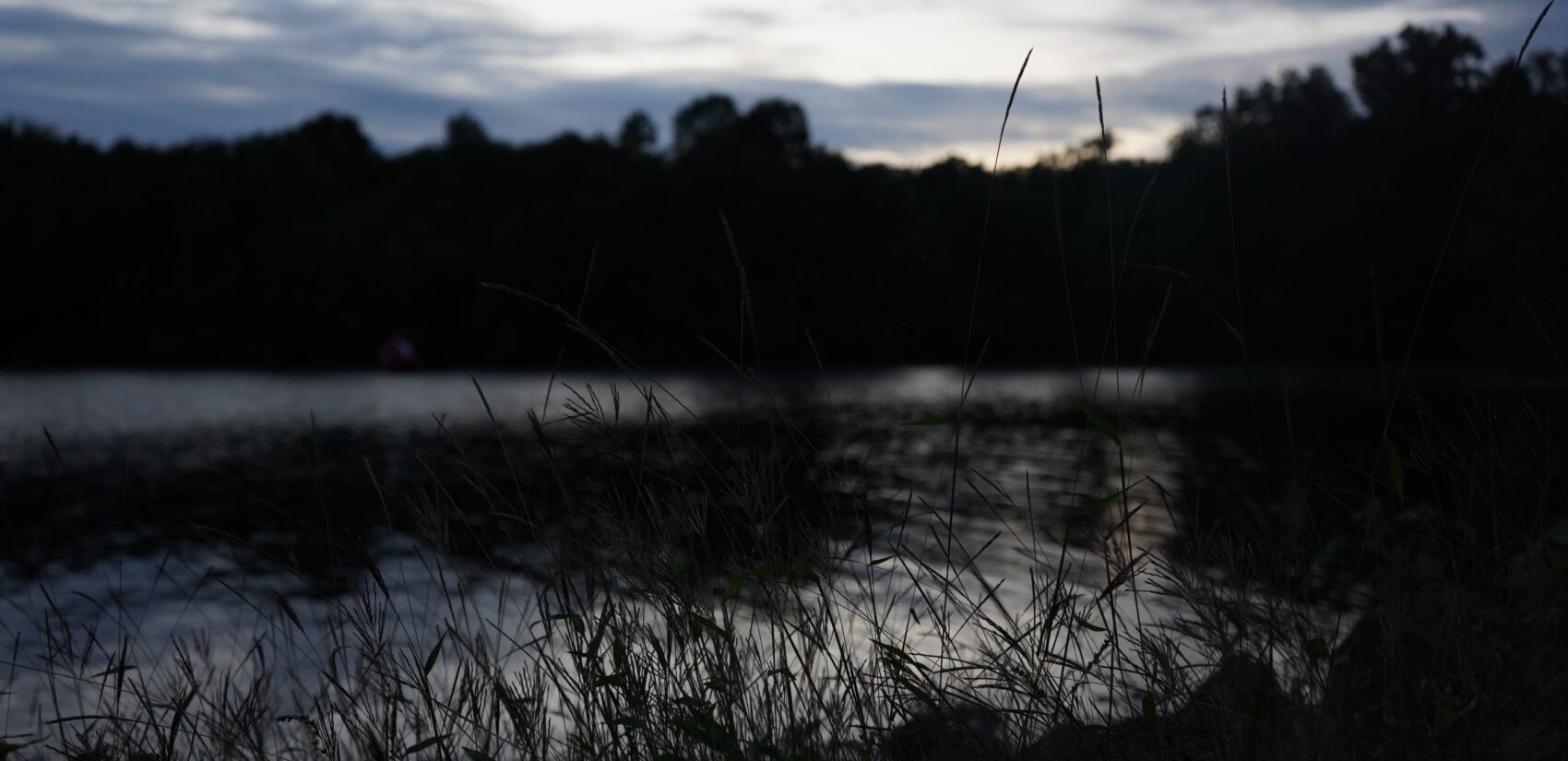 grass by Lake Nockamixon